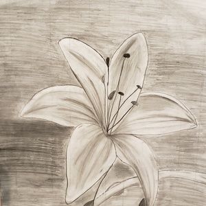 Meet your Posher, Cristina